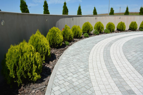 Best Driveway Paving Contractor  in Apison, TN